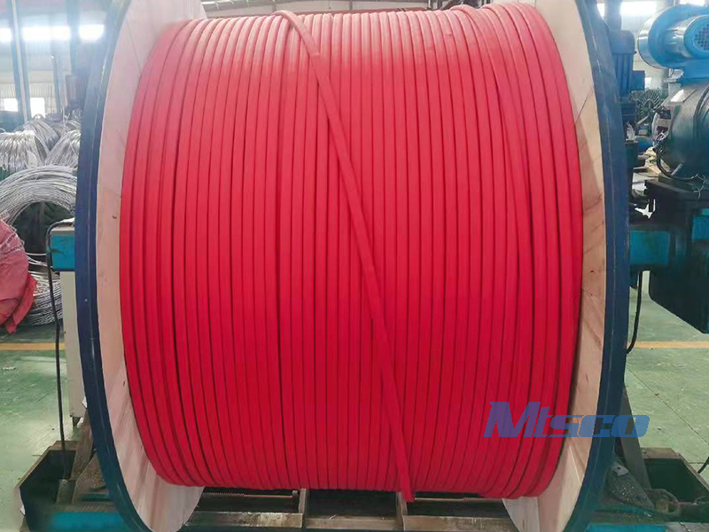 control line tubing (26)