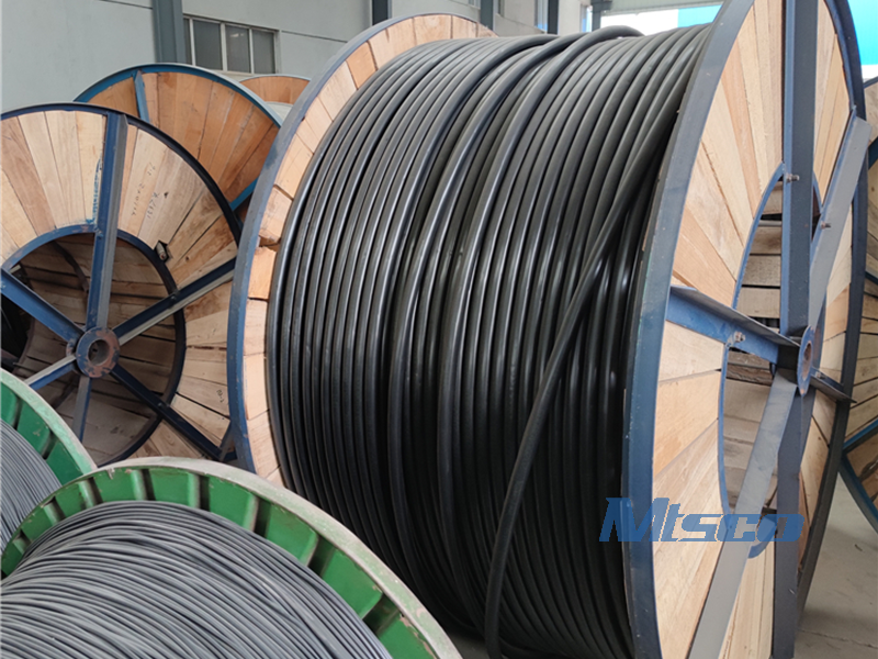 control line tubing (47)